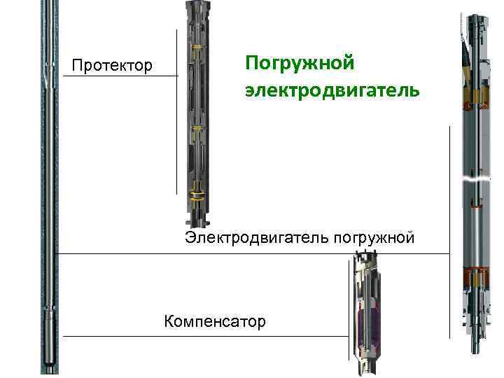 Протектор       Погружной      электродвигатель