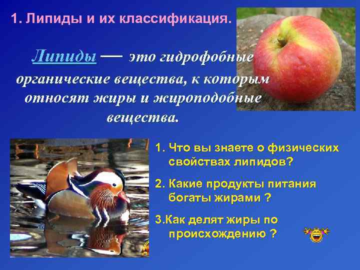 1. Липиды и их классификация. Липиды — это гидрофобные органические вещества, к которым относят