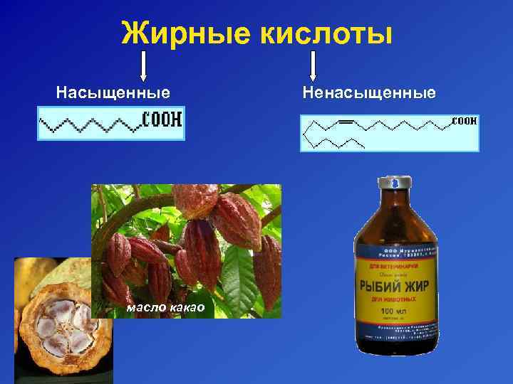  Жирные кислоты Насыщенные   Ненасыщенные  масло какао 