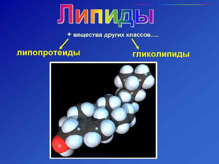    + вещества других классов….  липопротеиды    гликолипиды 