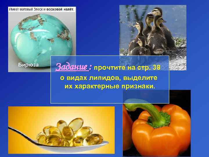 Бирюза   Задание : прочтите на стр. 38  о видах липидов, выделите