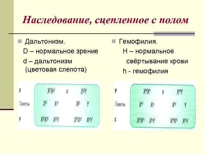  Наследование, сцепленное с полом n Дальтонизм.   n Гемофилия.  D –