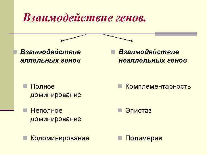  Взаимодействие генов.  n Взаимодействие аллельных генов  неаллельных генов n Полное 