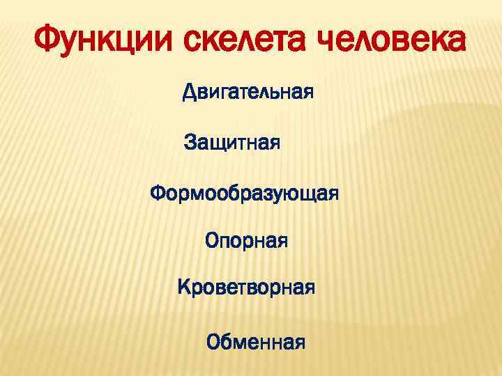 Функции скелета человека   Двигательная   Защитная  Формообразующая  Опорная 