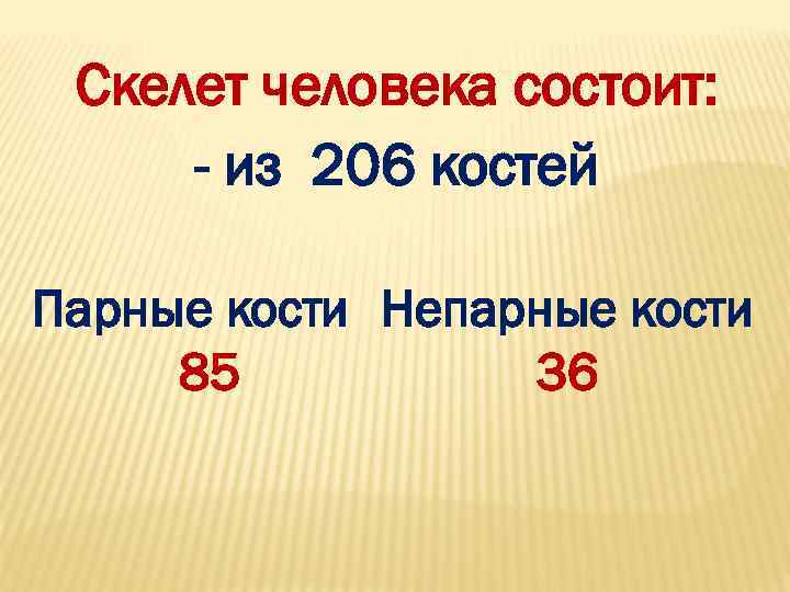  Скелет человека состоит:  - из 206 костей Парные кости Непарные кости 85