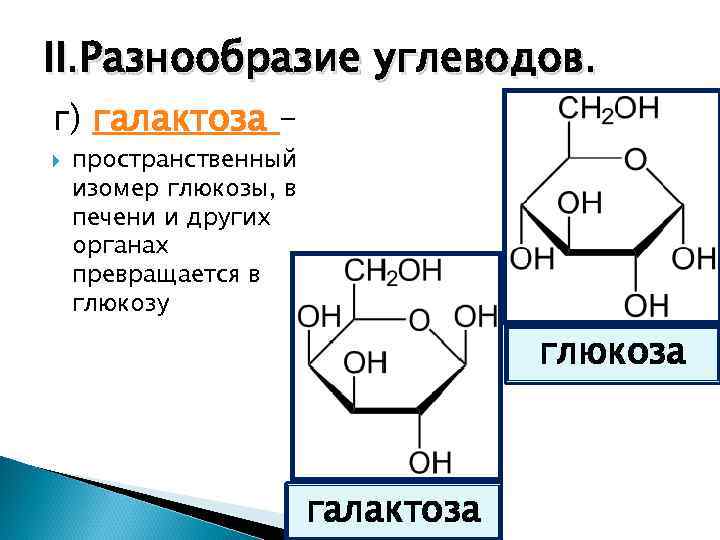 II. Разнообразие углеводов. г) галактоза – пространственный изомер глюкозы, в печени и других органах