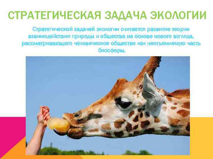 СТРАТЕГИЧЕСКАЯ ЗАДАЧА ЭКОЛОГИИ  Стратегической задачей экологии считается развитие теории взаимодействия природы и общества