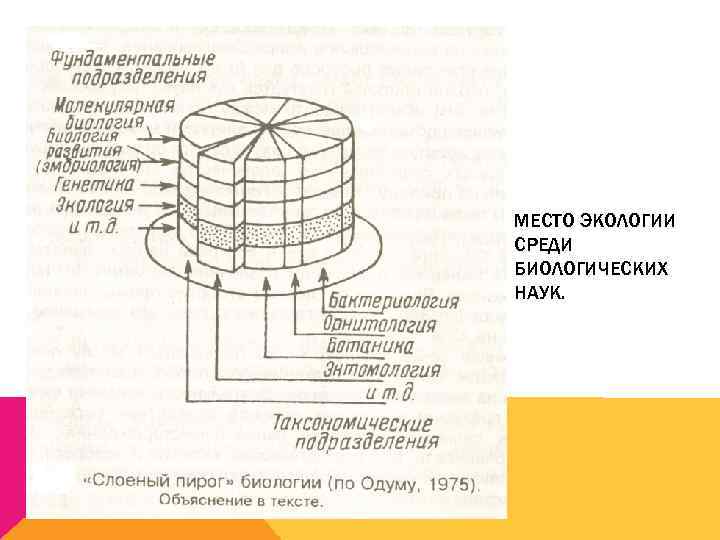 МЕСТО ЭКОЛОГИИ СРЕДИ БИОЛОГИЧЕСКИХ НАУК. 