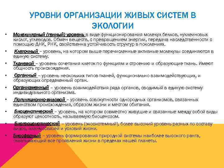    УРОВНИ ОРГАНИЗАЦИИ ЖИВЫХ СИСТЕМ В    ЭКОЛОГИИ • 