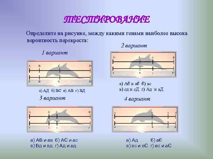 ТЕСТИРОВАНИЕ Определите на рисунке, между какими генами наиболее ТЕСТИРОВАНИЕ Определите на рисунке, между какими генами наиболее