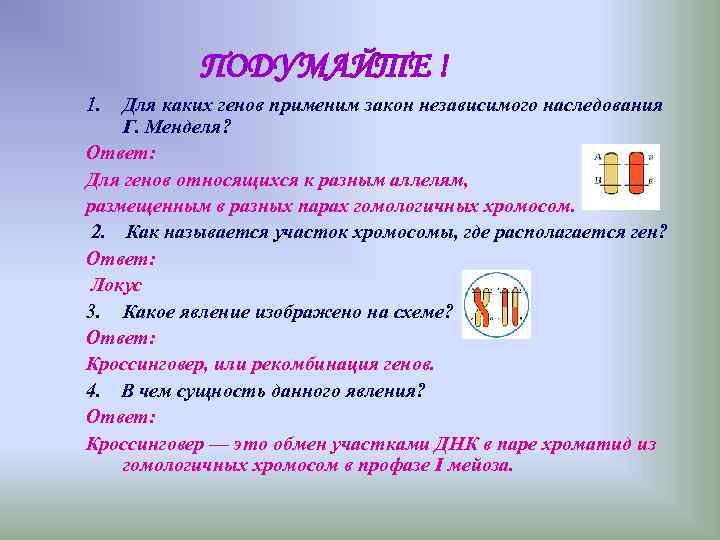 ПОДУМАЙТЕ ! 1. Для каких генов применим закон независимого наследования Г. ПОДУМАЙТЕ ! 1. Для каких генов применим закон независимого наследования Г.