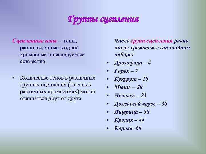 Группы сцепления Сцепленные гены – гены, Число Группы сцепления Сцепленные гены – гены, Число