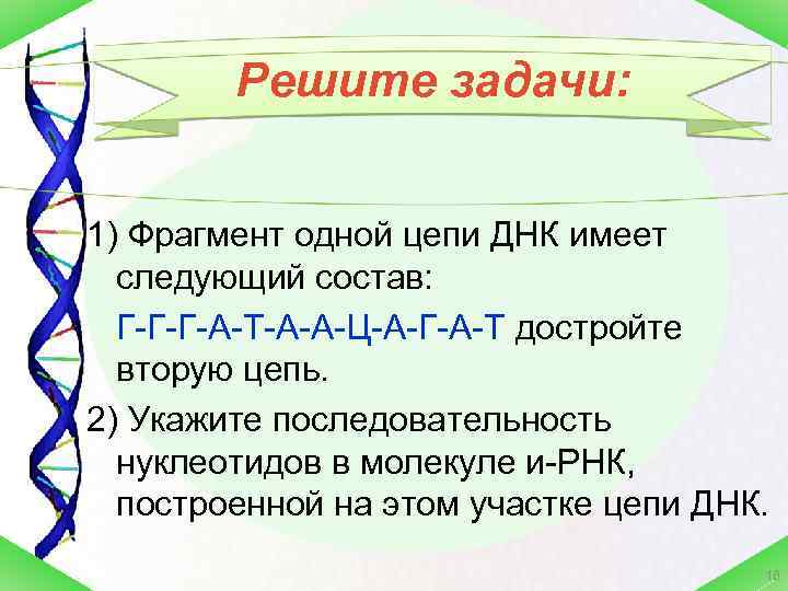 Цепь днк имеет последовательность