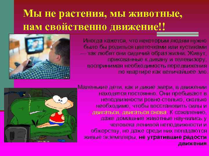 Мы не растения, мы животные, нам свойственно движение!! Иногда кажется, что некоторым людям Мы не растения, мы животные, нам свойственно движение!! Иногда кажется, что некоторым людям