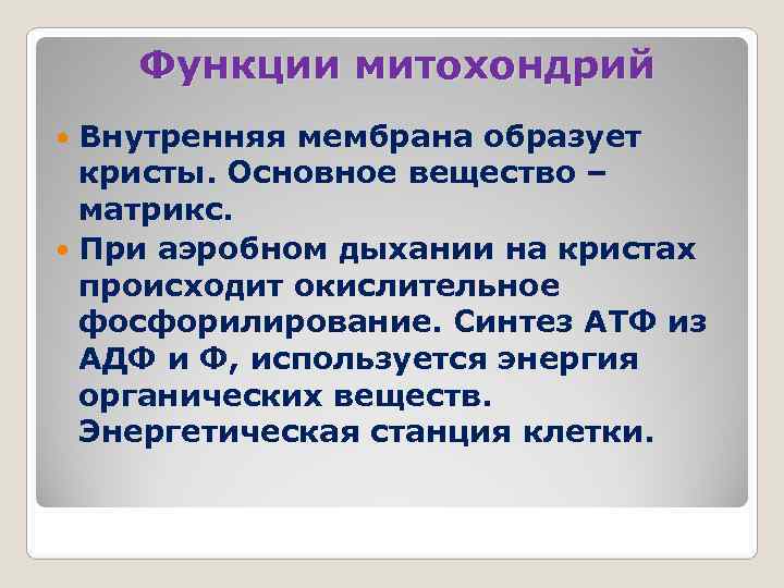   Функции митохондрий  Внутренняя мембрана образует  кристы. Основное вещество – 