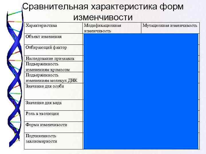 Сравнительная характеристика форм  изменчивости Характеристика  Модификационная    Мутационная изменчивость 