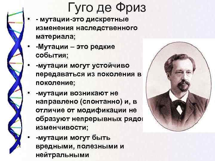    Гуго де Фриз  • - мутации-это дискретные  изменения наследственного