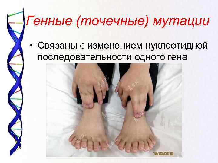 Генные (точечные) мутации • Связаны с изменением нуклеотидной  последовательности одного гена 