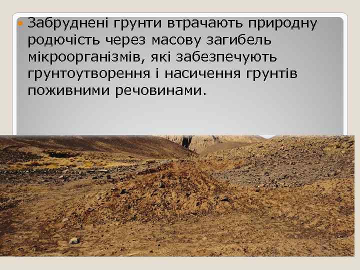   Забруднені грунти втрачають природну родючість через масову загибель мікроорганізмів, які забезпечують грунтоутворення