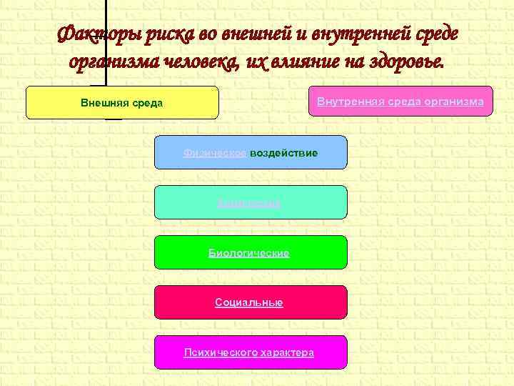 Факторы риска во внешней и внутренней среде организма человека, их влияние на здоровье. 
