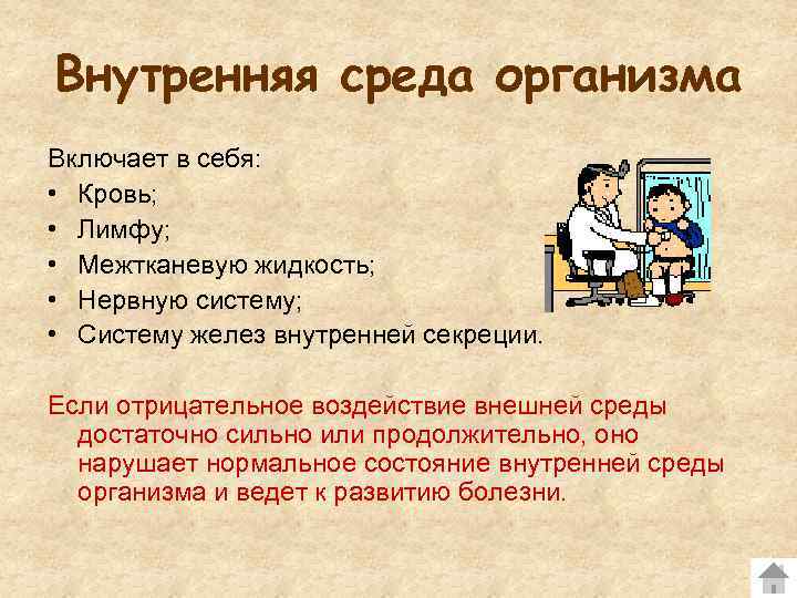 Внутренняя среда организма Включает в себя:  • Кровь;  • Лимфу;  •