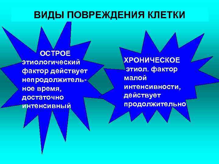 ВИДЫ ПОВРЕЖДЕНИЯ КЛЕТКИ ОСТРОЕ этиологический ХРОНИЧЕСКОЕ фактор действует этиол. фактор непродолжитель- ВИДЫ ПОВРЕЖДЕНИЯ КЛЕТКИ ОСТРОЕ этиологический ХРОНИЧЕСКОЕ фактор действует этиол. фактор непродолжитель-
