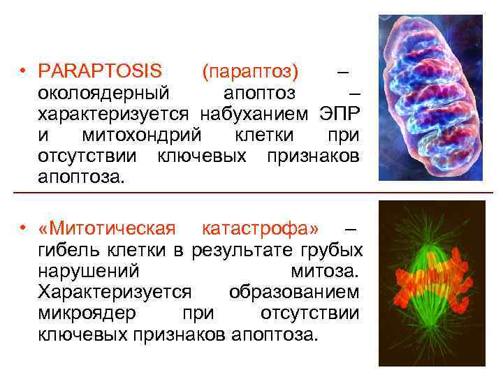 Нарушение клетки