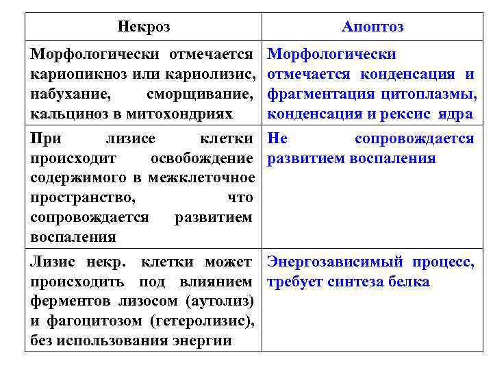 Некроз Апоптоз Морфологически отмечается Морфологически кариопикноз или кариолизис, Некроз Апоптоз Морфологически отмечается Морфологически кариопикноз или кариолизис,