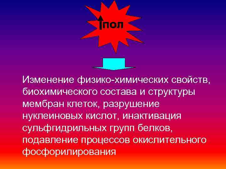 ПОЛ Изменение физико-химических свойств, биохимического состава и структуры мембран клеток, ПОЛ Изменение физико-химических свойств, биохимического состава и структуры мембран клеток,