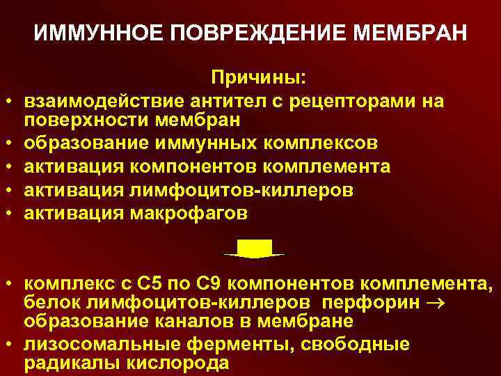 ИММУННОЕ ПОВРЕЖДЕНИЕ МЕМБРАН Причины: • взаимодействие ИММУННОЕ ПОВРЕЖДЕНИЕ МЕМБРАН Причины: • взаимодействие