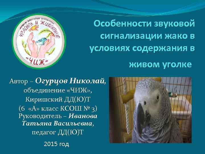      Особенности звуковой    сигнализации жако в 