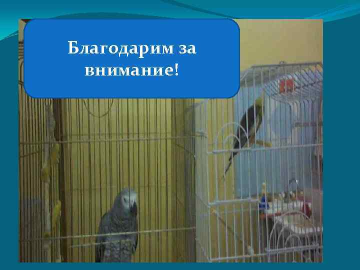 Благодарим за  внимание! 