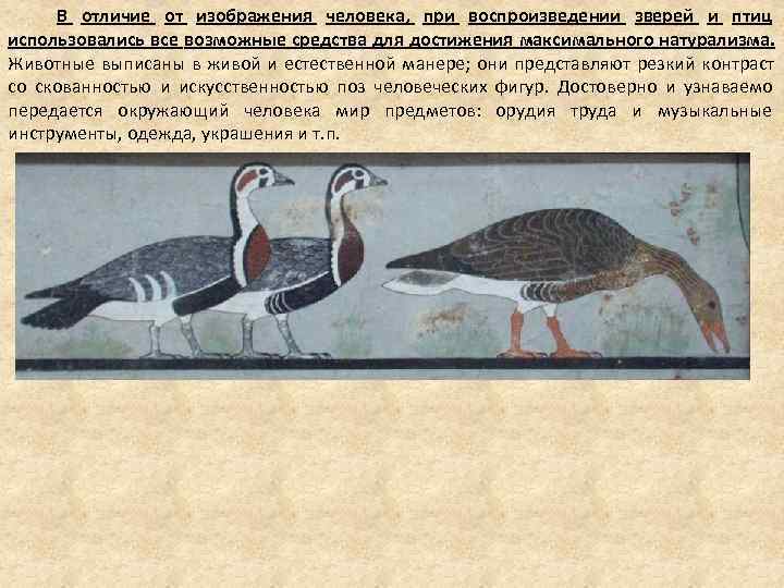 В отличие от изображения человека, при воспроизведении зверей и птиц использовались В отличие от изображения человека, при воспроизведении зверей и птиц использовались