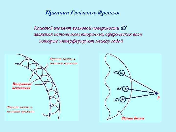 Принцип гюйгенса френеля рисунок