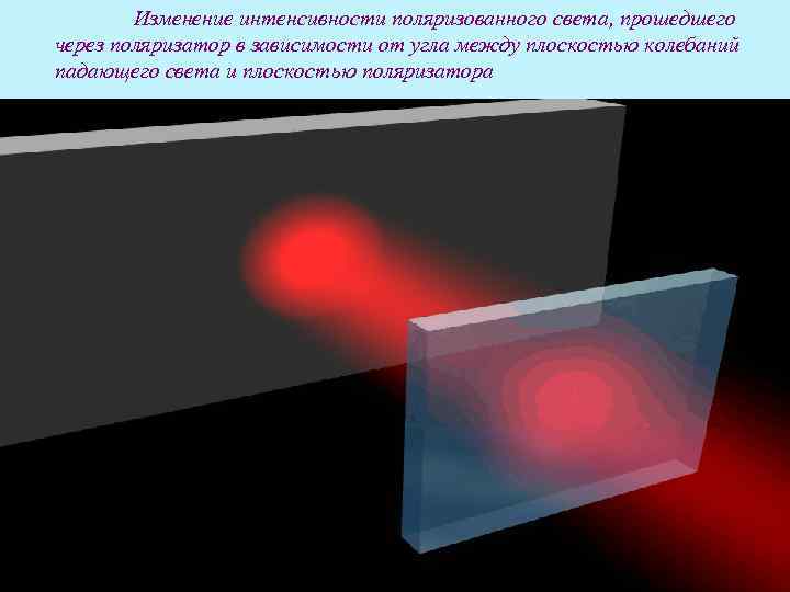 На рисунке представлены графики зависимости интенсивности света прошедшего через поляризатор от угла