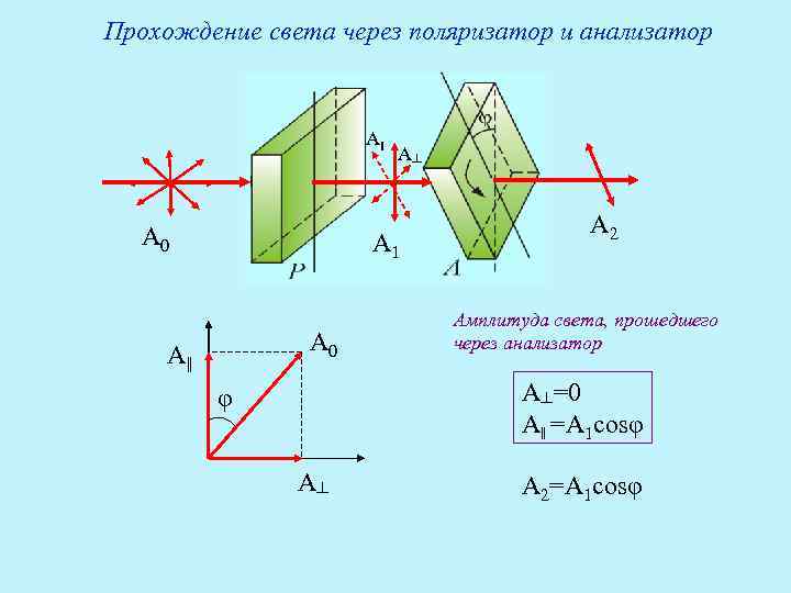 Выберите правильную схему хода лучей через поляризатор и анализатор