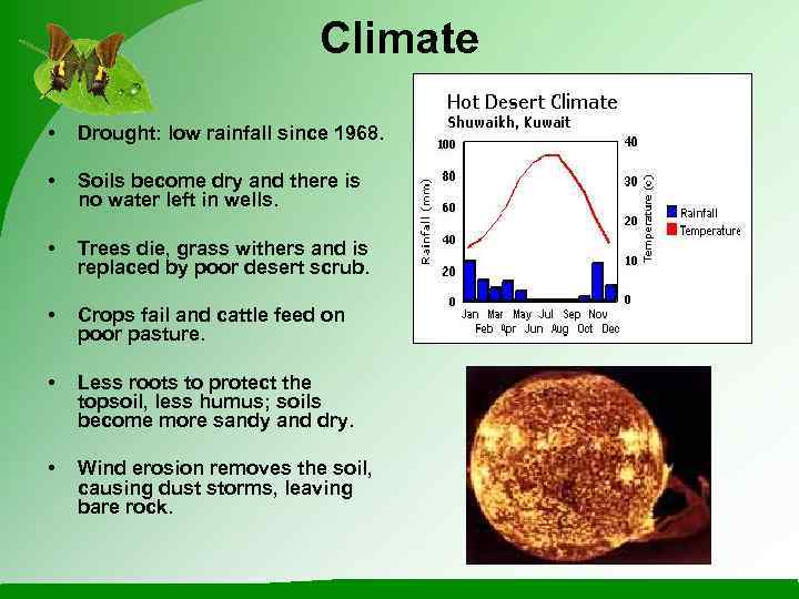      Climate •  Drought: low rainfall since 1968. 