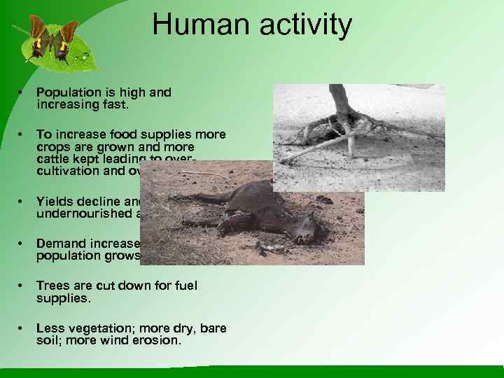     Human activity  •  Population is high and increasing
