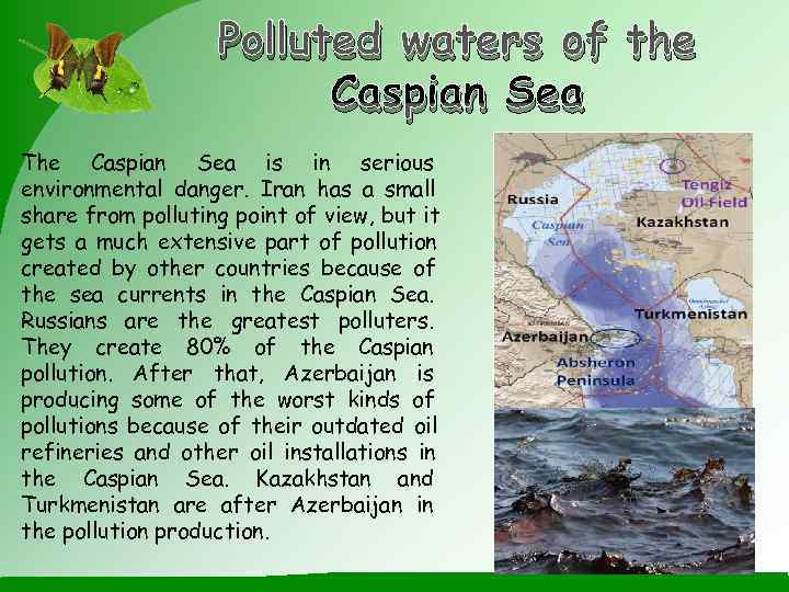     Polluted waters of the     Caspian Sea
