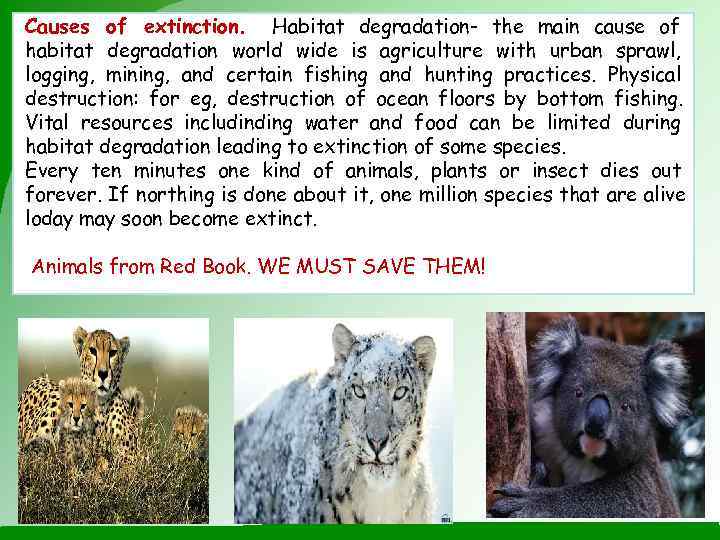 Causes of extinction. Habitat degradation- the main cause of habitat degradation world wide is