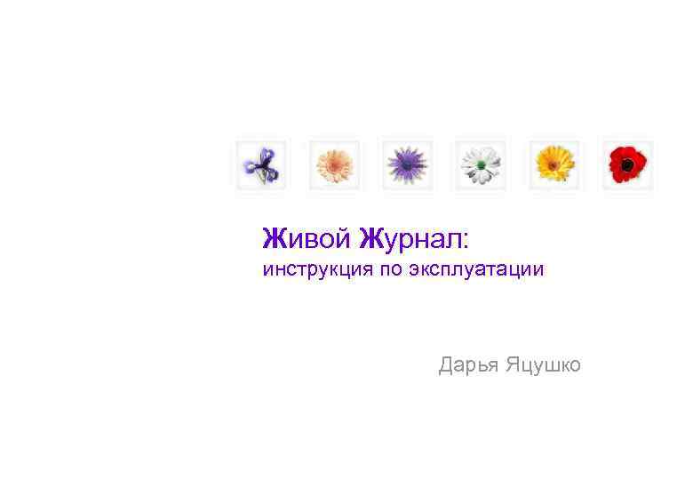 Живой Журнал: инструкция по эксплуатации    Дарья Яцушко 