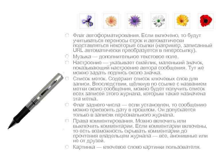 Флаг автоформатирования. Если включено, то будут учитываться переносы строк и автоматически подставляться некоторые ссылки