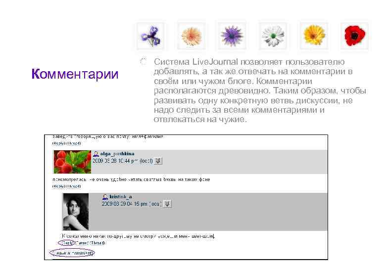    Система Live. Journal позволяет пользователю Комментарии  добавлять, а так же