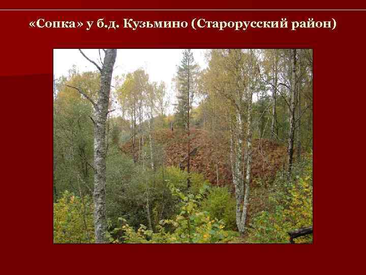  «Сопка» у б. д. Кузьмино (Старорусский район) 