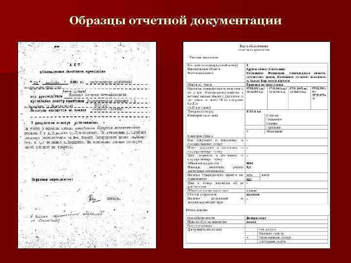 Образцы отчетной документации 