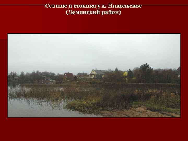 Селище и стоянка у д. Никольское  (Демянский район) 