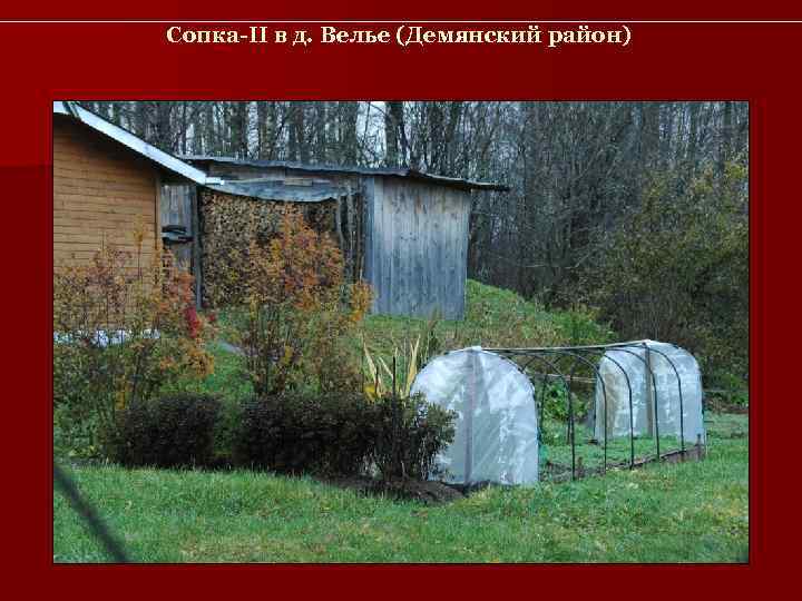 Сопка-II в д. Велье (Демянский район) 