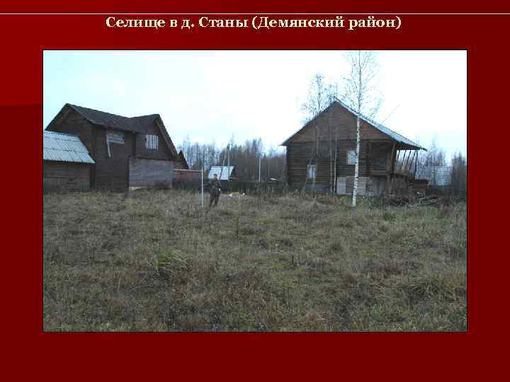 Селище в д. Станы (Демянский район) 