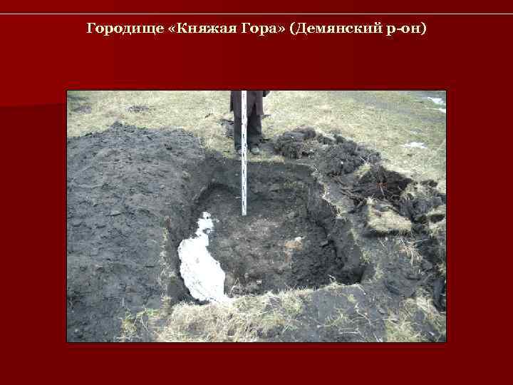 Городище «Княжая Гора» (Демянский р-он) 