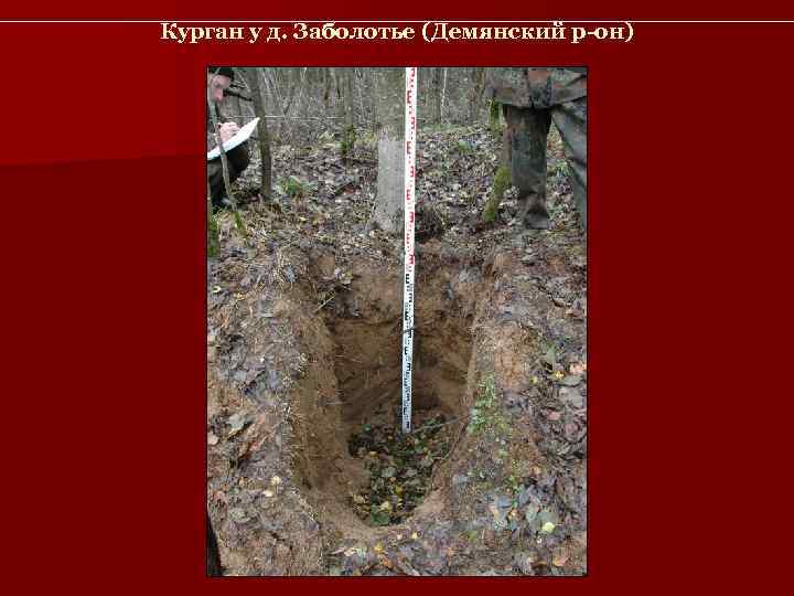 Курган у д. Заболотье (Демянский р-он) 